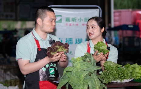 千金如玉，一口清心--生菜?油麥菜?萵筍直播專場(chǎng)